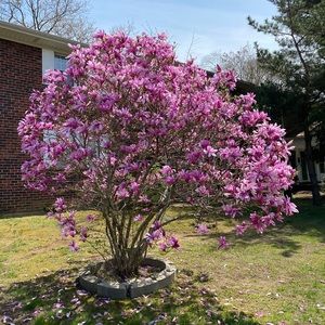 Meet your Posher, Ha